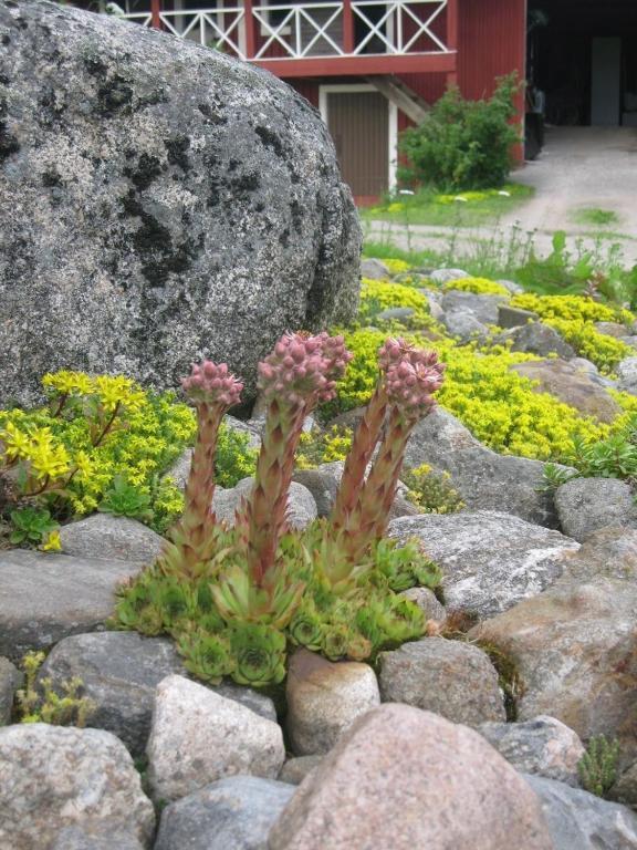 Tuukkalan Tila B&B Ristiina Buitenkant foto